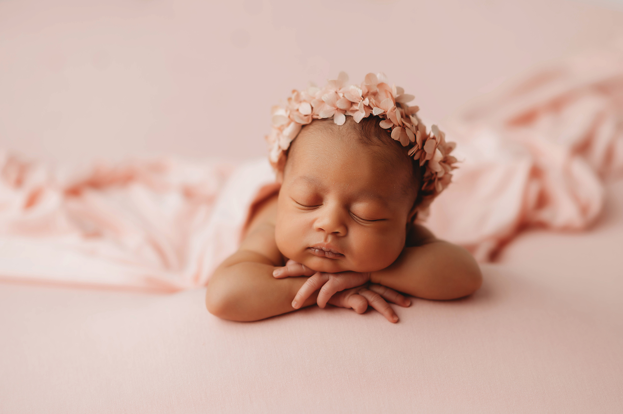 Newborn Baby Girl Session shot at Asheville Portrait Company Studios in Asheville, NC.