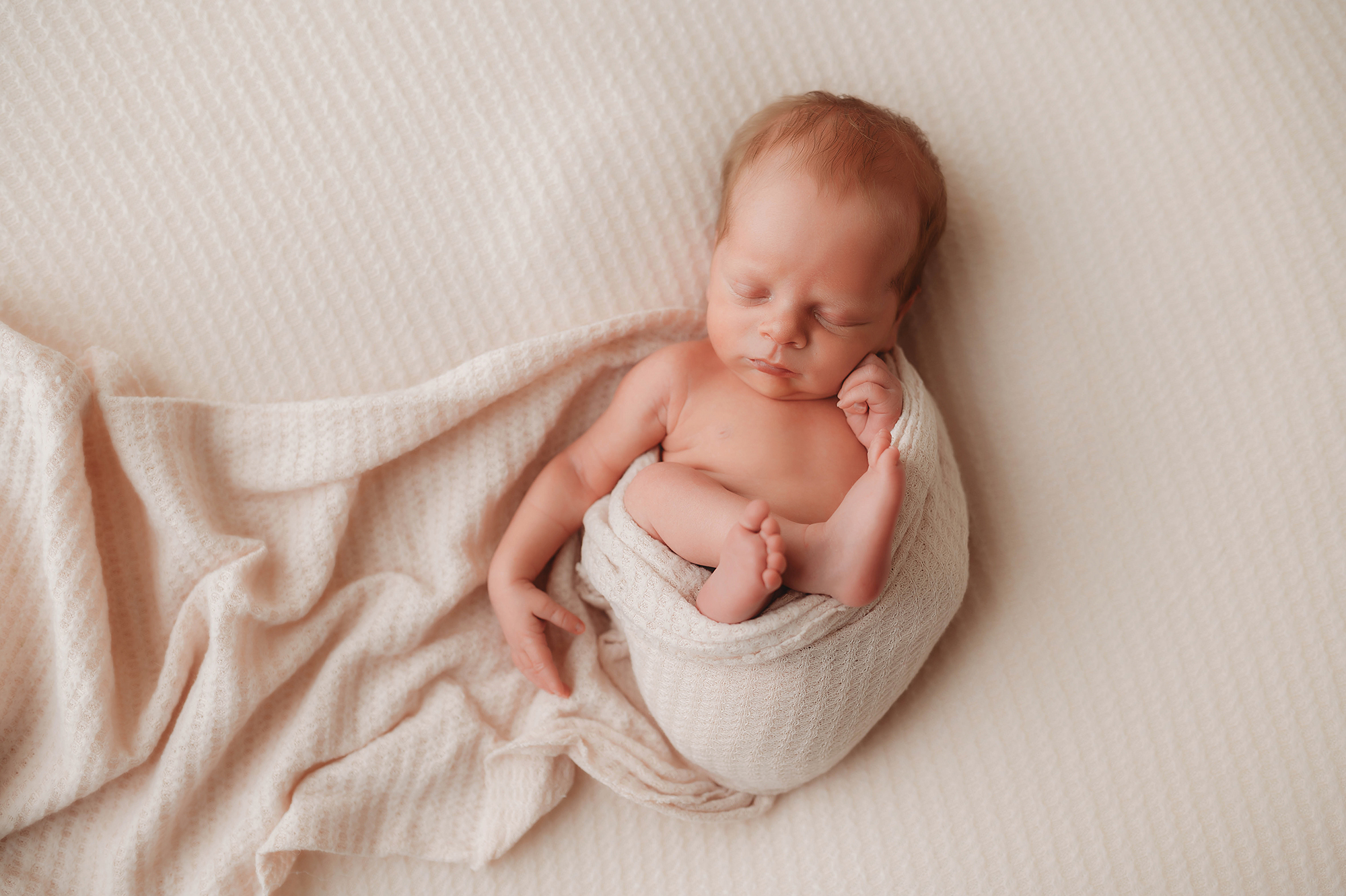 Newborn Baby posed for Newborn Portraits during his Newborn Baby Boy Session in Asheville, NC.