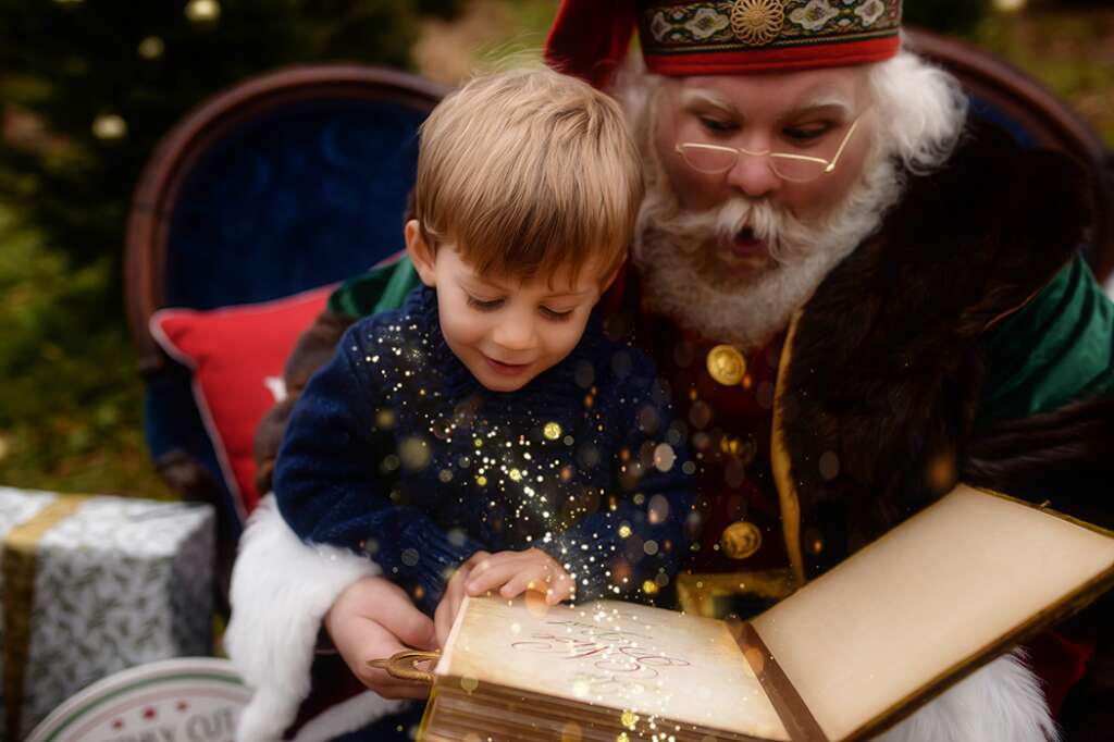 Holiday Mini Sessions - Asheville Family Photography